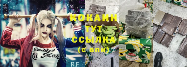 spice Инсар