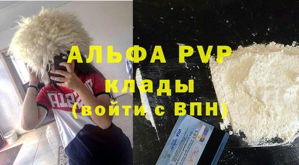 spice Инсар