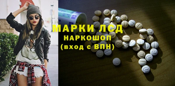 spice Инсар