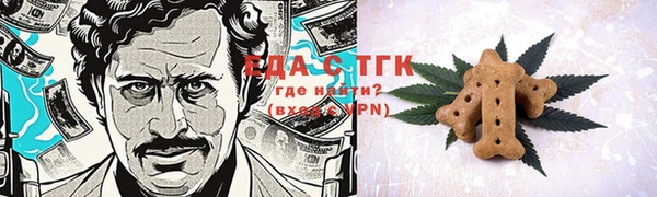 СК Инта